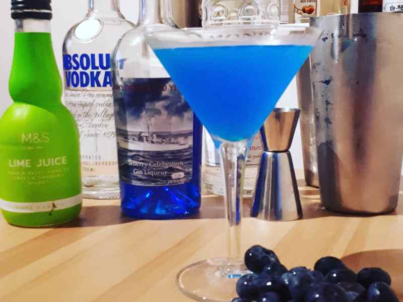 Blueberry Gin Liqueur
